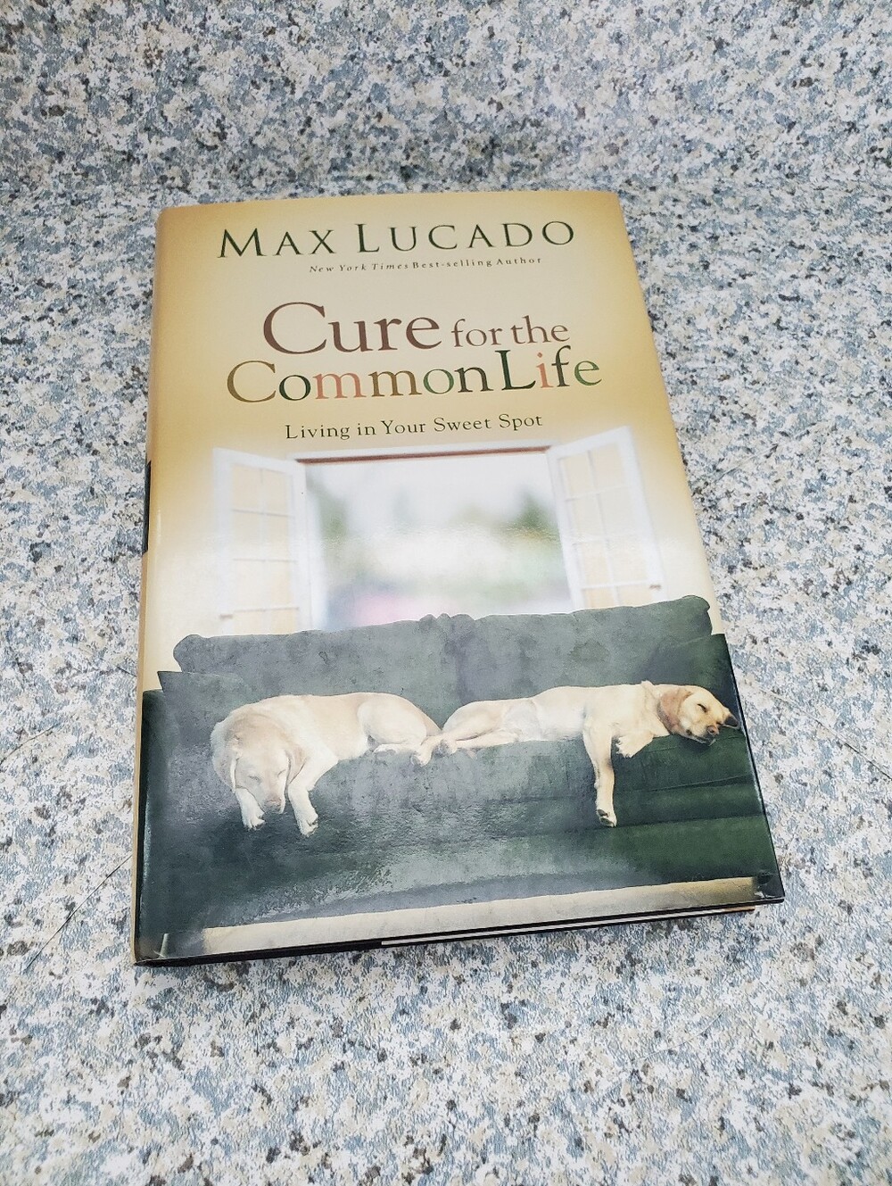 'Cure for the Common Life'  Max Lucado Hardcover Book -preowned